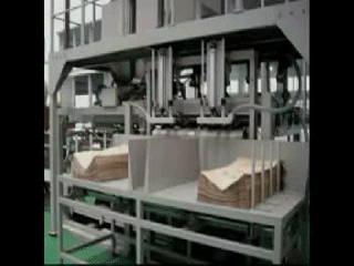 纸袋码垛包装生产线